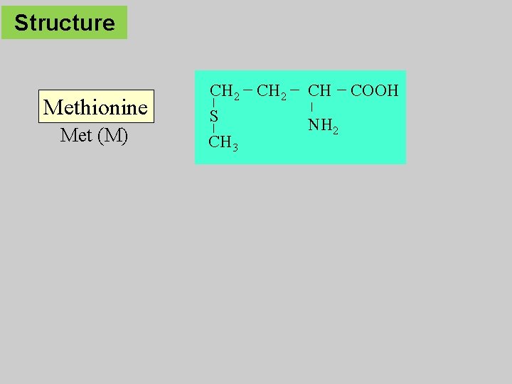 Structure Methionine Met (M) CH 2 S CH 3 CH 2 CH NH 2