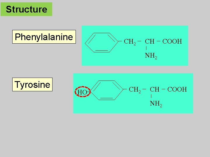 Structure Phenylalanine CH 2 CH COOH NH 2 Tyrosine HO CH 2 CH NH