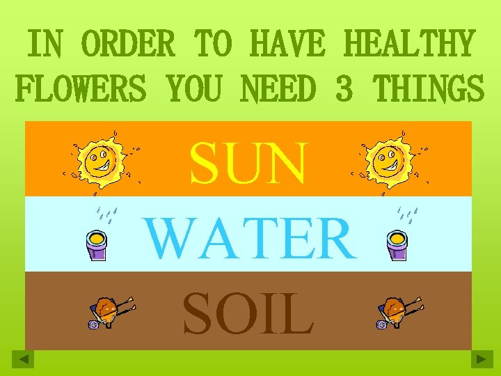 IN ORDER TO HAVE HEALTHY FLOWERS YOU NEED 3 THINGS SUN WATER SOIL 