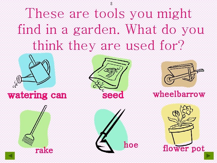 8 These are tools you might find in a garden. What do you think