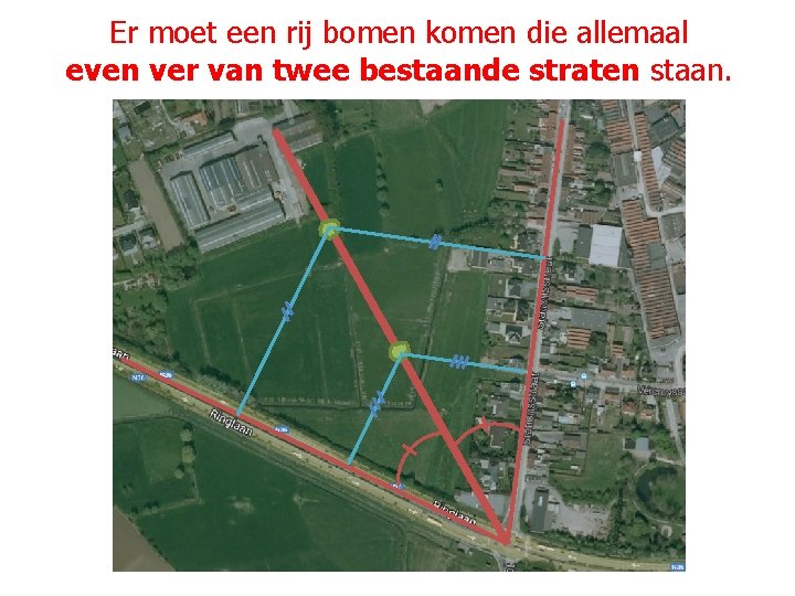 Er moet een rij bomen komen die allemaal even ver van twee bestaande straten