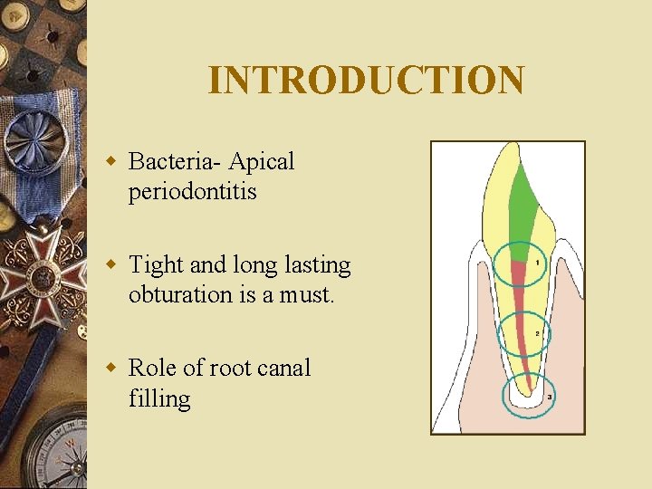 INTRODUCTION w Bacteria- Apical periodontitis w Tight and long lasting obturation is a must.