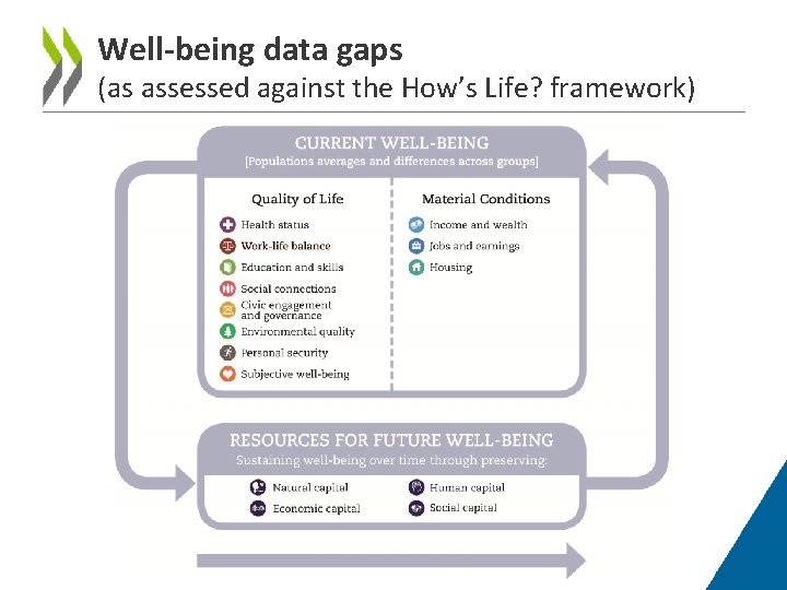 Well-being data gaps (as assessed against the How’s Life? framework) 