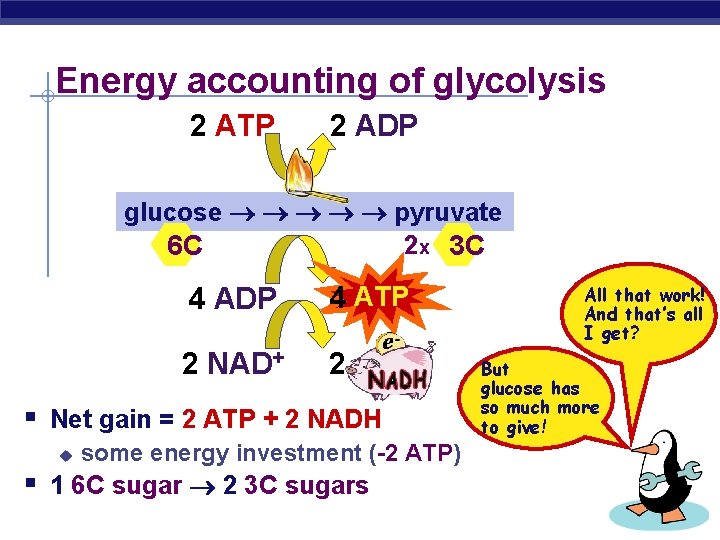 Energy accounting of glycolysis 2 ATP 2 ADP glucose pyruvate 2 x 3 C