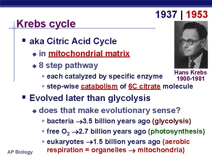 Krebs cycle 1937 | 1953 § aka Citric Acid Cycle in mitochondrial matrix u