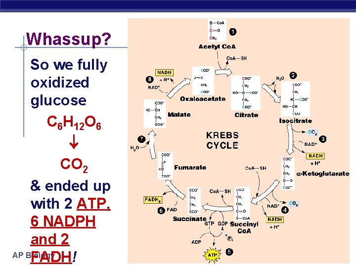 Whassup? So we fully oxidized glucose C 6 H 12 O 6 CO 2
