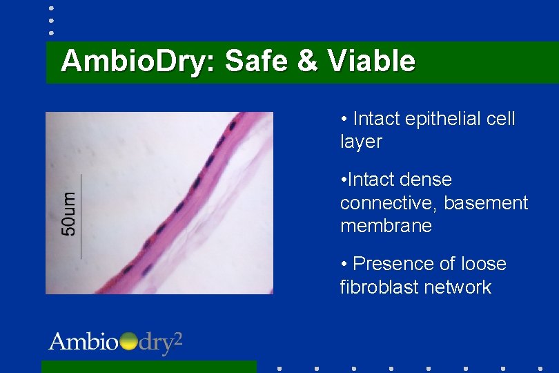 Ambio. Dry: Safe & Viable • Intact epithelial cell layer • Intact dense connective,