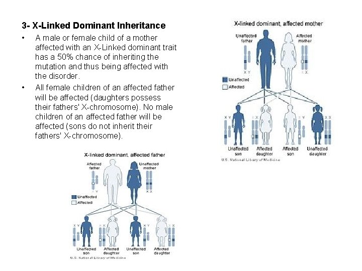 3 - X-Linked Dominant Inheritance • • A male or female child of a
