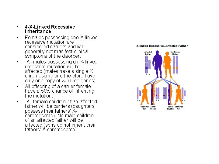  • • • 4 -X-Linked Recessive Inheritance Females possessing one X-linked recessive mutation