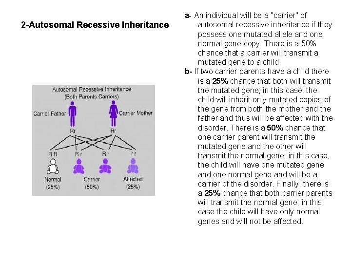 2 -Autosomal Recessive Inheritance a- An individual will be a "carrier" of autosomal recessive