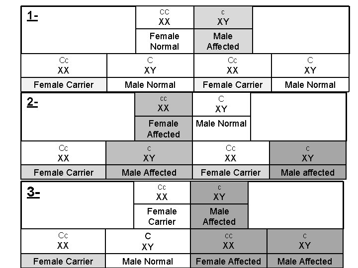 CC c XX XY Female Normal Male Affected 1 - Cc C Cc XX