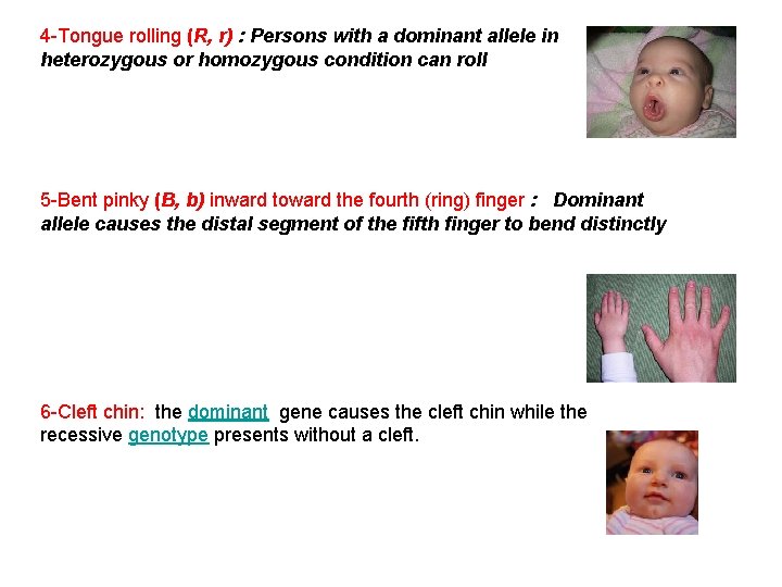 4 -Tongue rolling (R, r) : Persons with a dominant allele in heterozygous or