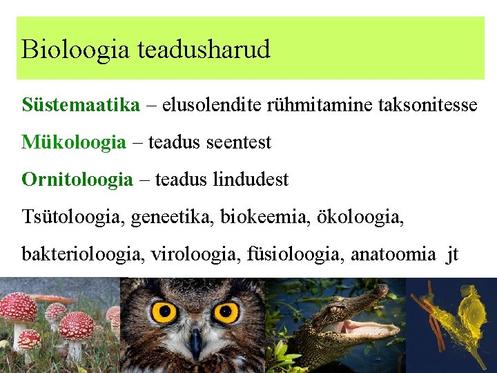 Bioloogia teadusharud Süstemaatika – elusolendite rühmitamine taksonitesse Mükoloogia – teadus seentest Ornitoloogia – teadus