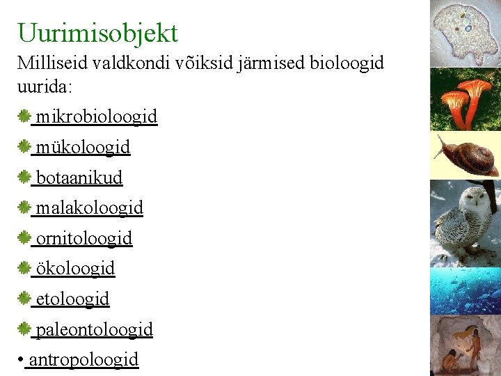 Uurimisobjekt Milliseid valdkondi võiksid järmised bioloogid uurida: mikrobioloogid mükoloogid botaanikud malakoloogid ornitoloogid ökoloogid etoloogid