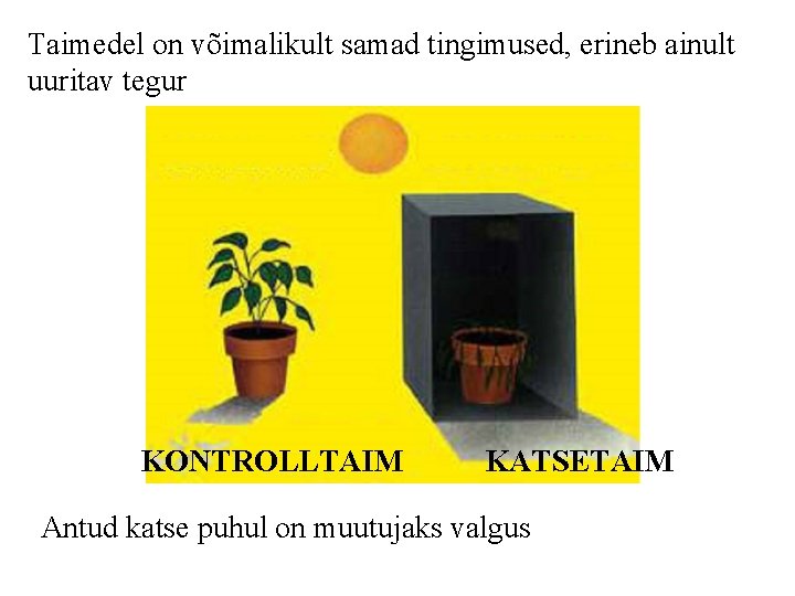 Taimedel on võimalikult samad tingimused, erineb ainult uuritav tegur KONTROLLTAIM KATSETAIM Antud katse puhul