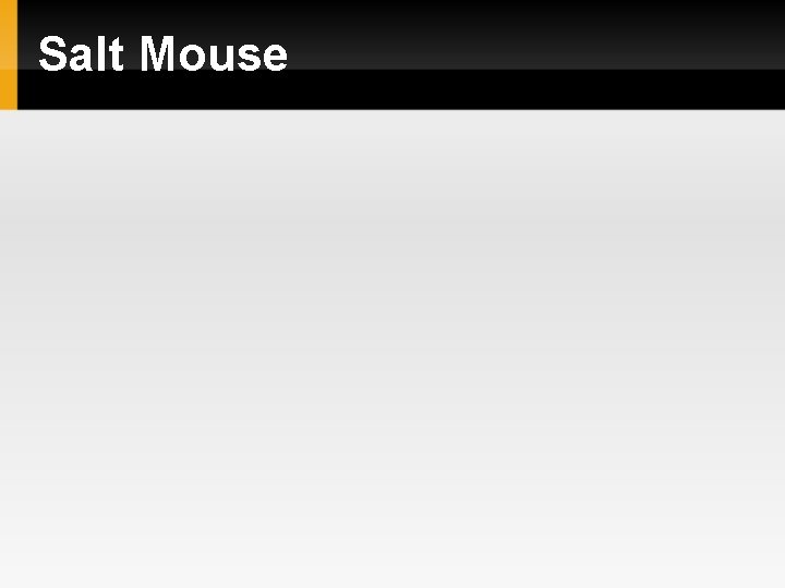 Salt Mouse 