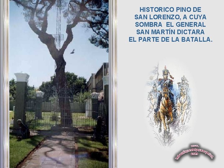 HISTORICO PINO DE SAN LORENZO, A CUYA SOMBRA EL GENERAL SAN MARTÍN DICTARA EL