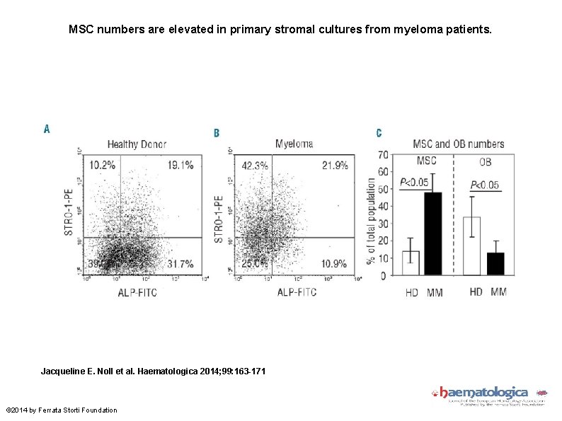 MSC numbers are elevated in primary stromal cultures from myeloma patients. Jacqueline E. Noll