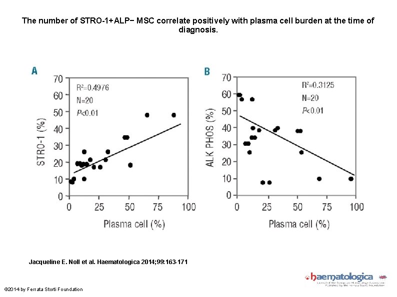 The number of STRO-1+ALP− MSC correlate positively with plasma cell burden at the time