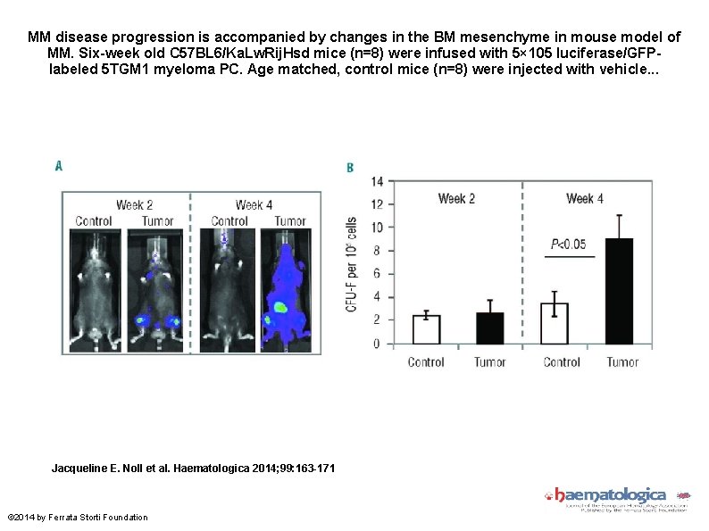 MM disease progression is accompanied by changes in the BM mesenchyme in mouse model