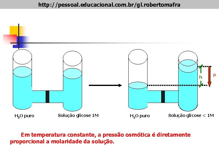 http: //pessoal. educacional. com. br/gl. robertomafra h H 2 O puro Solução glicose 1