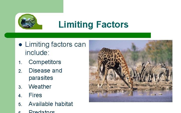 Limiting Factors l 1. 2. 3. 4. 5. Limiting factors can include: Competitors Disease