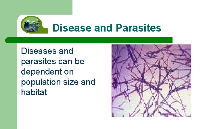 Disease and Parasites Diseases and parasites can be dependent on population size and habitat