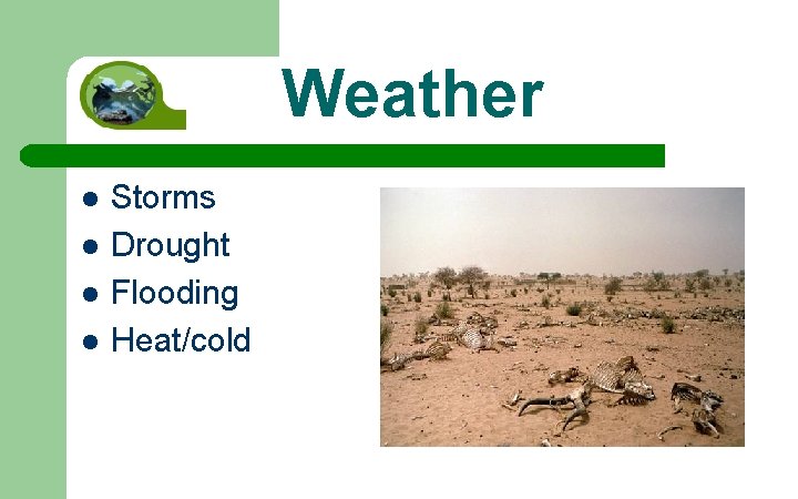 Weather l l Storms Drought Flooding Heat/cold 