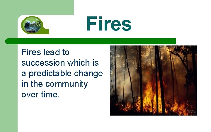 Fires lead to succession which is a predictable change in the community over time.