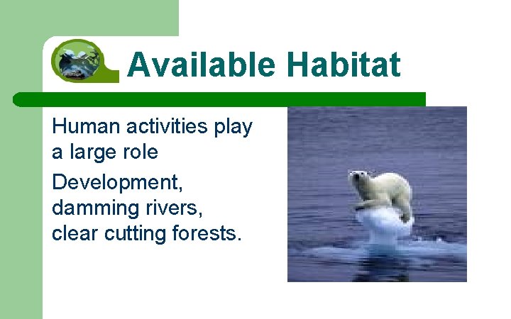 Available Habitat Human activities play a large role Development, damming rivers, clear cutting forests.