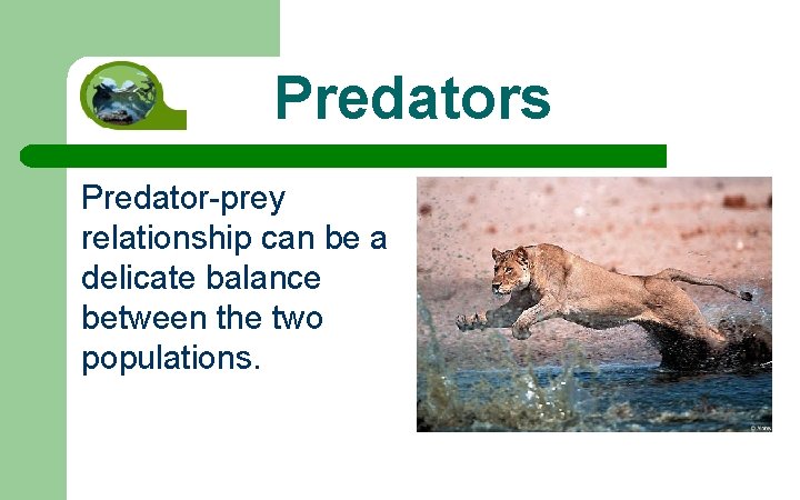 Predators Predator-prey relationship can be a delicate balance between the two populations. 