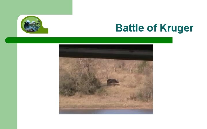 Battle of Kruger 