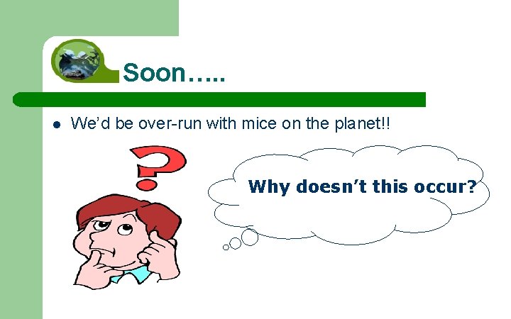 Soon…. . l We’d be over-run with mice on the planet!! Why doesn’t this