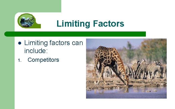 Limiting Factors l 1. Limiting factors can include: Competitors 