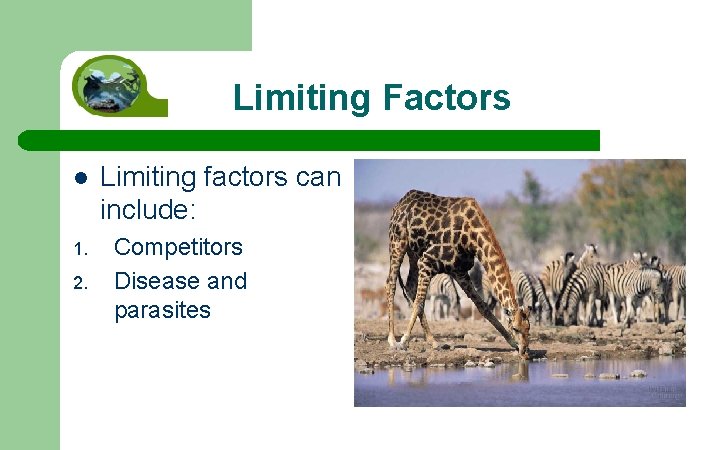 Limiting Factors l 1. 2. Limiting factors can include: Competitors Disease and parasites 