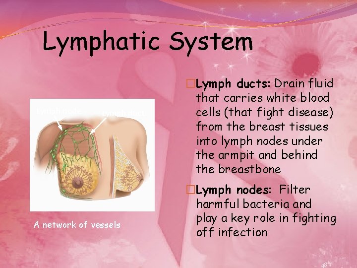 Lymphatic System Lymph node Lymph duct A network of vessels �Lymph ducts: Drain fluid