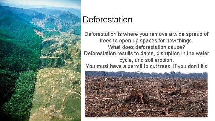 Deforestation is where you remove a wide spread of trees to open up spaces