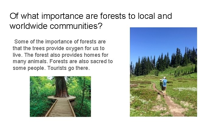 Of what importance are forests to local and worldwide communities? Some of the importance