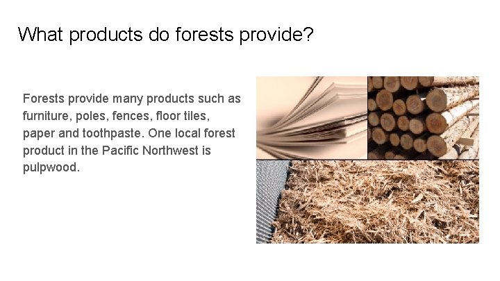 What products do forests provide? Forests provide many products such as furniture, poles, fences,