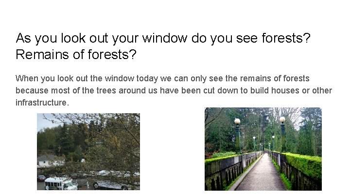 As you look out your window do you see forests? Remains of forests? When