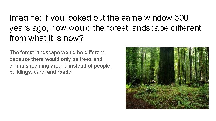 Imagine: if you looked out the same window 500 years ago, how would the