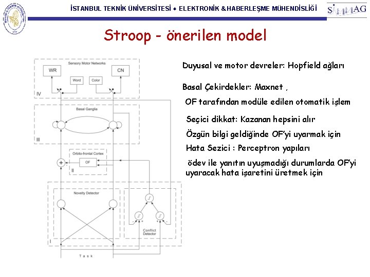 İSTANBUL TEKNİK ÜNİVERSİTESİ ♦ ELEKTRONİK & HABERLEŞME MÜHENDİSLİĞİ Stroop - önerilen model Duyusal ve