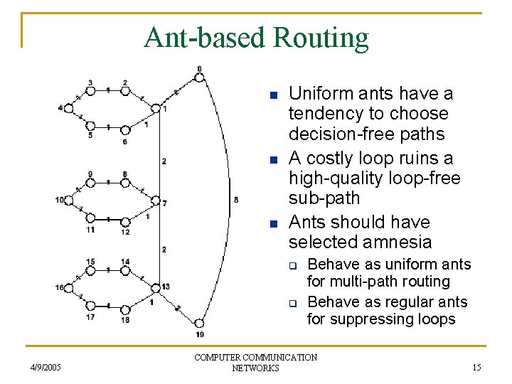 Ant-based Routing n n n Uniform ants have a tendency to choose decision-free paths