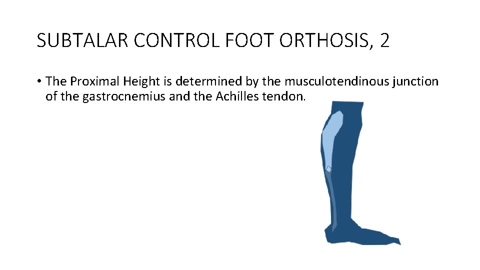 SUBTALAR CONTROL FOOT ORTHOSIS, 2 • The Proximal Height is determined by the musculotendinous
