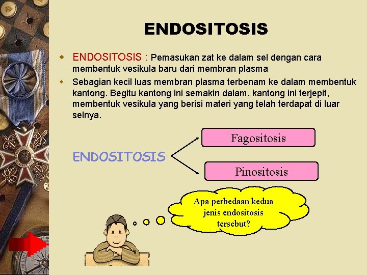 ENDOSITOSIS w ENDOSITOSIS : Pemasukan zat ke dalam sel dengan cara membentuk vesikula baru