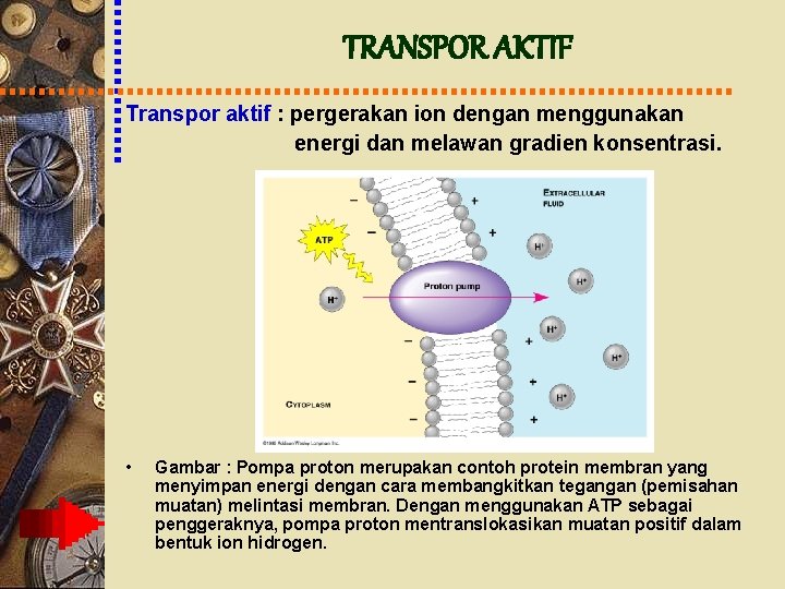 TRANSPOR AKTIF Transpor aktif : pergerakan ion dengan menggunakan energi dan melawan gradien konsentrasi.