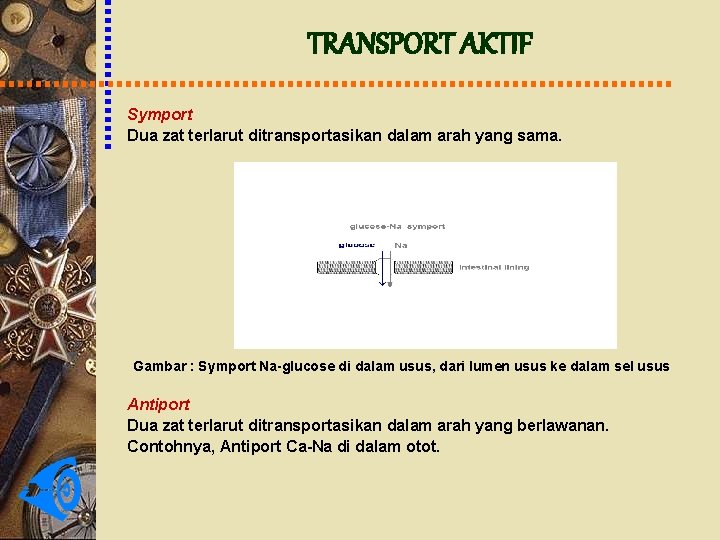 TRANSPORT AKTIF Symport Dua zat terlarut ditransportasikan dalam arah yang sama. Gambar : Symport