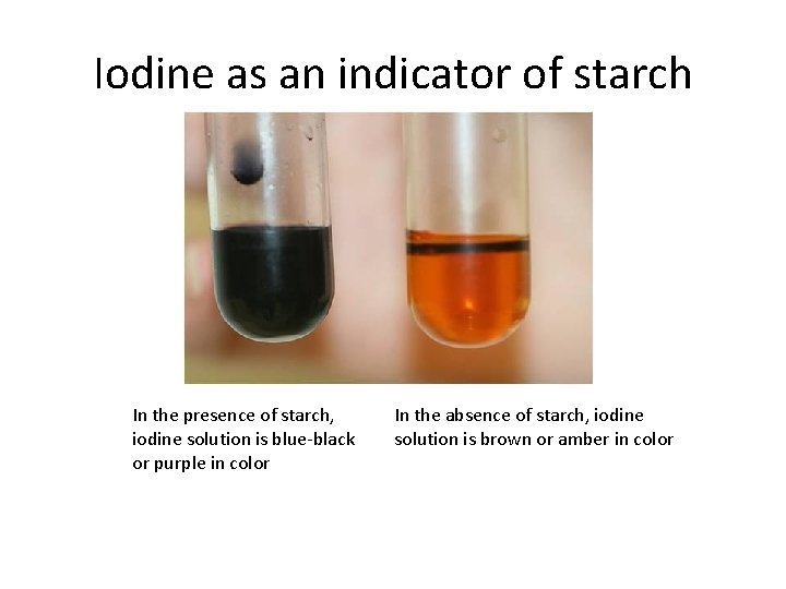 Iodine as an indicator of starch In the presence of starch, iodine solution is