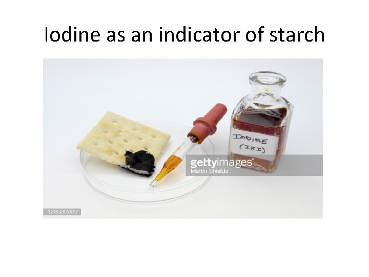 Iodine as an indicator of starch 