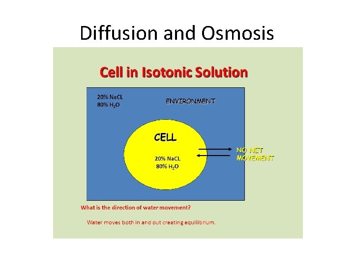Diffusion and Osmosis 